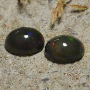 2.65 ct natürliche Mehrfarbig Schwarzer Opal-Edelsteine, Oval, Lichtdurchlässig