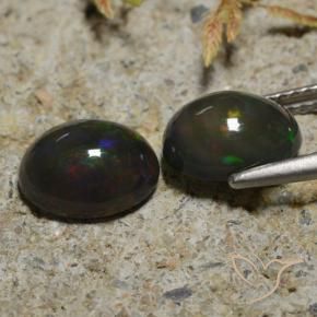 2.65 ct natürliche Mehrfarbig Schwarzer Opal-Edelsteine, Oval, Lichtdurchlässig
