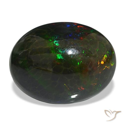 16,29 ctw natürlicher mehrfarbiger Schwarzer Opal, Oval Schliff, Lichtundurchlässig
