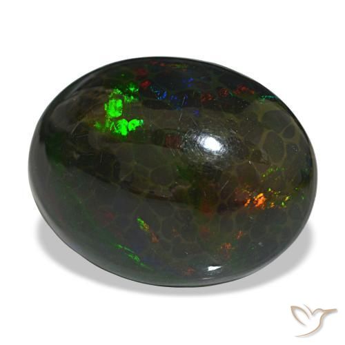 16,29 ctw natürlicher mehrfarbiger Schwarzer Opal, Oval Schliff, Lichtundurchlässig