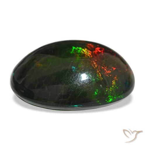 16,29 ctw natürlicher mehrfarbiger Schwarzer Opal, Oval Schliff, Lichtundurchlässig
