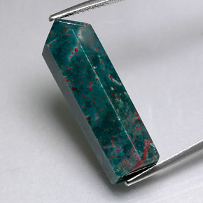 9,17 ctw natürlicher Grün gefleckt Blutstein, Fantasie, Lichtundurchlässig