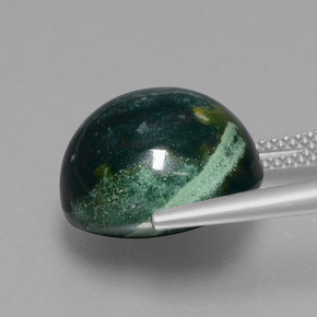 9,17 ctw natürlicher Grün gefleckt Blutstein, Rund Schliff, Lichtundurchlässig