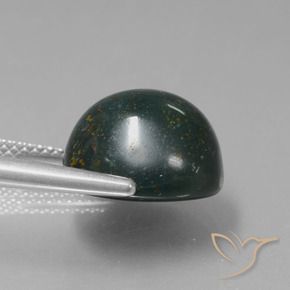 9,17 ctw natürlicher Mehrfarbig Blutstein, Oval, Lichtundurchlässig