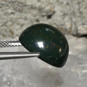 11,27 ctw natürlicher grüner Blutstein, Rundschliff, Lichtundurchlässig