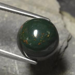 8,82 ctw natürlicher grüner Blutstein, Rundschliff, Lichtundurchlässig
