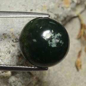 8,69 ctw natürlicher grüner Blutstein, Rundschliff, Lichtundurchlässig