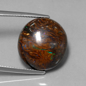 19,70 ctw natürlicher mehrfarbiger Boulder-Opal, Oval Schliff, Lichtundurchlässig