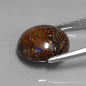 19,70 ctw natürlicher mehrfarbiger Boulder-Opal, Oval Schliff, Lichtundurchlässig