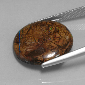 16,69 ctw natürlicher mehrfarbiger Boulder-Opal, Rundschliff, Lichtundurchlässig