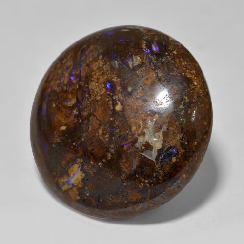 23,48 ctw natürlicher mehrfarbiger Boulder-Opal, Rundschliff, Lichtundurchlässig