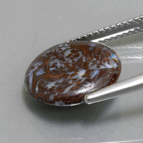 9,17 ctw natürlicher Mehrfarbig Boulderopal, Rund Schliff, Lichtundurchlässig