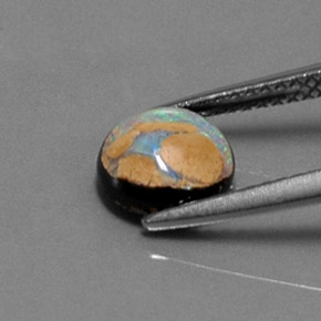 9,17 ctw natürlicher Mehrfarbig Boulderopal, Rund Schliff, Lichtundurchlässig