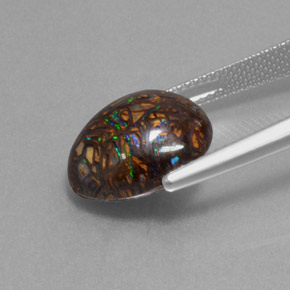 9,07 ctw natürlicher mehrfarbiger Boulder-Opal, Fantasieschliff, Lichtundurchlässig