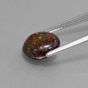 9,17 ctw natürlicher Mehrfarbig Boulderopal, Rund Schliff, Lichtundurchlässig