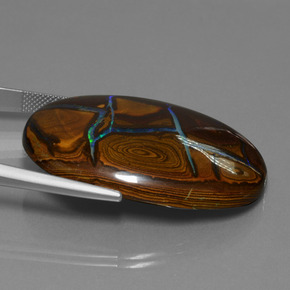 66,28 ctw natürlicher mehrfarbiger Boulder-Opal, Oval Schliff, Lichtundurchlässig