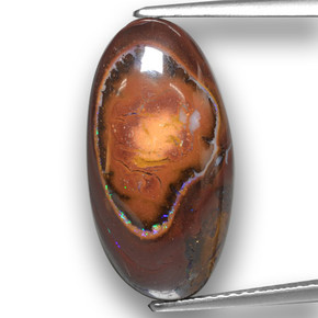 10,73 ctw natürlicher mehrfarbiger Boulder-Opal, Oval Schliff, Lichtundurchlässig