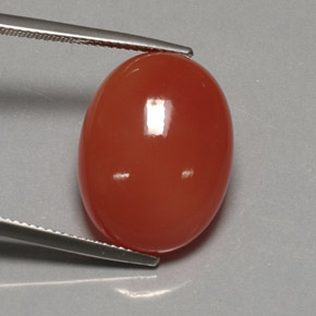 17,21 ctw natürlicher orangefarbener Karneol, Transparent, Transparent / Lichtdurchlässig