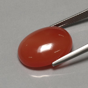 17,21 ctw natürlicher orangefarbener Karneol, Transparent, Transparent / Lichtdurchlässig