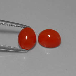 ct natürliche rot-orange Karneol-Edelsteine, Transparent, Transparent / Lichtdurchlässig