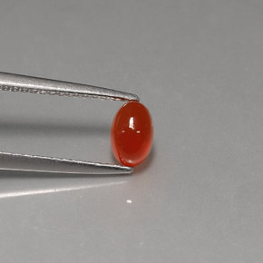 9,17 ctw natürlicher rot-orange Karneol, Transparent, Transparent / Lichtdurchlässig