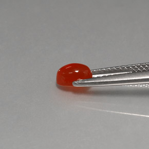 9,17 ctw natürlicher rot-orange Karneol, Transparent, Transparent / Lichtdurchlässig