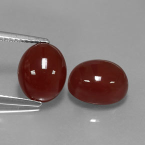  ct natürliche roter Karneol-Edelsteine, Oval Schliff, Lichtdurchlässig