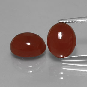  ct natürliche roter Karneol-Edelsteine, Oval Schliff, Lichtdurchlässig