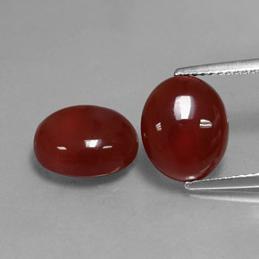  ct natürliche roter Karneol-Edelsteine, Oval Schliff, Lichtdurchlässig