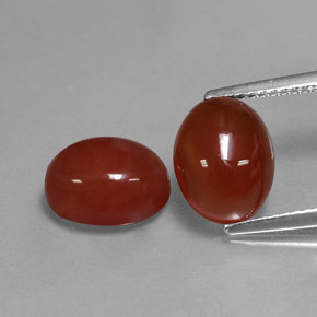  ct natürliche roter Karneol-Edelsteine, Oval Schliff, Lichtdurchlässig