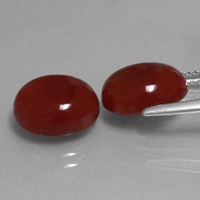  ct natürliche roter Karneol-Edelsteine, Oval Schliff, Lichtdurchlässig