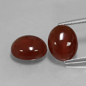  ct natürliche roter Karneol-Edelsteine, Oval Schliff, Lichtdurchlässig