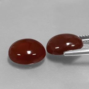 ct natürliche roter Karneol-Edelsteine, Oval Schliff, Lichtdurchlässig