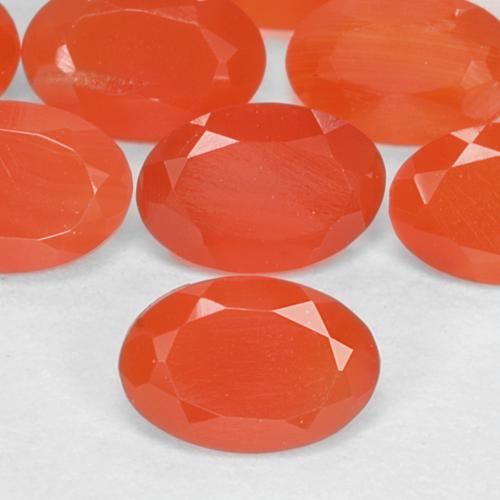 1.55 ct natürliche tiefrötlich-orange Karneol-Edelsteine, Oval Schliff, Lichtdurchlässig