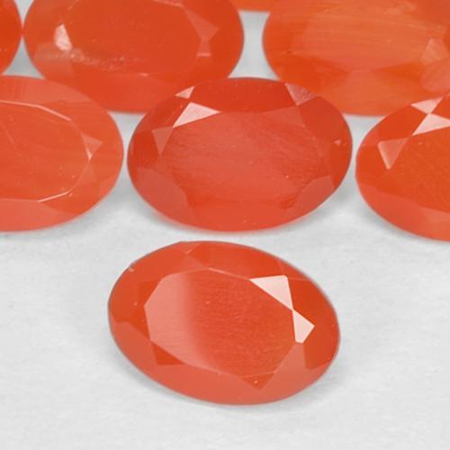 1.55 ct natürliche tiefrötlich-orange Karneol-Edelsteine, Oval Schliff, Lichtdurchlässig