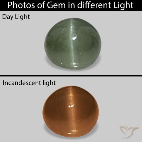 9,17 ctw natürlicher Mittelgrün Cat's Eye Alexandrite, Oval, Lichtundurchlässig