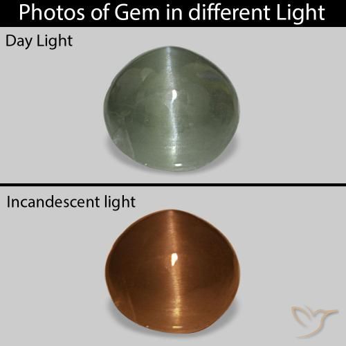 9,17 ctw natürlicher Mittelgrün Cat's Eye Alexandrite, Oval, Lichtundurchlässig