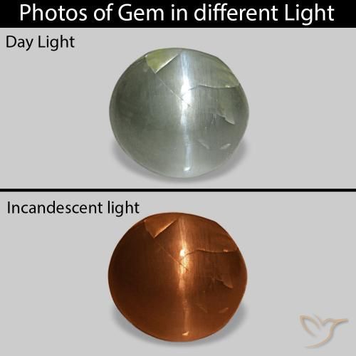 0.51ct Grau Grün Cat's Eye Alexandrite, Oval, Lichtundurchlässig