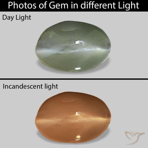 0.93ct Grau Grün Cat's Eye Alexandrite, Oval, Lichtundurchlässig