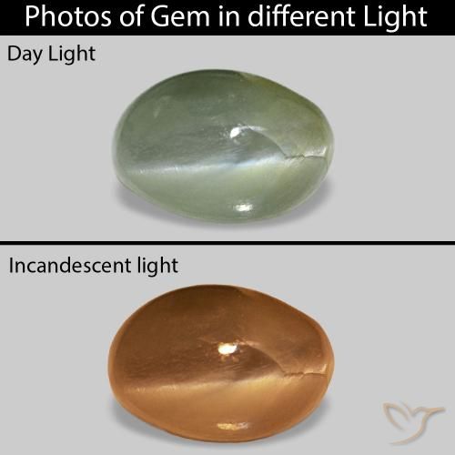 9,17 ctw natürlicher Mittelgrün Cat's Eye Alexandrite, Oval, Lichtundurchlässig