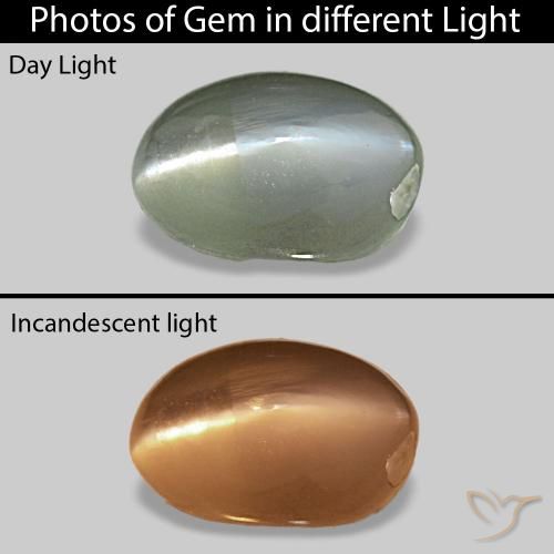 9,17 ctw natürlicher Mittelgrün Cat's Eye Alexandrite, Oval, Lichtundurchlässig