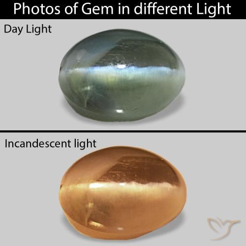 9,17 ctw natürlicher Grün Cat's Eye Alexandrite, Oval, Lichtundurchlässig