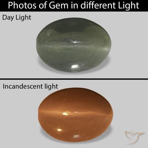 9,17 ctw natürlicher Mittelgrün Cat's Eye Alexandrite, Oval, Lichtundurchlässig