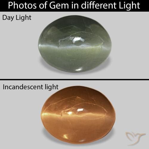 9,17 ctw natürlicher Blasses Waldgrün Cat's Eye Alexandrite, Oval, Lichtundurchlässig