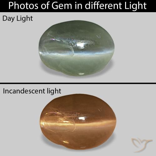 9,17 ctw natürlicher Mittelgrün Cat's Eye Alexandrite, Oval, Lichtundurchlässig