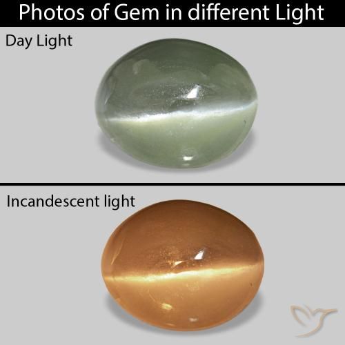 9,17 ctw natürlicher Grau Grün Cat's Eye Alexandrite, Oval, Lichtundurchlässig