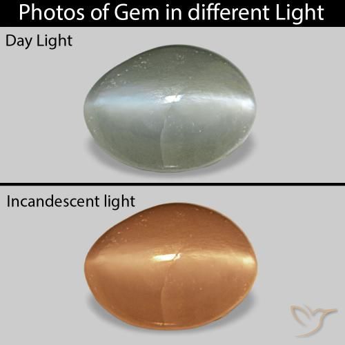 9,17 ctw natürlicher Mittelgrün Cat's Eye Alexandrite, Oval, Lichtundurchlässig