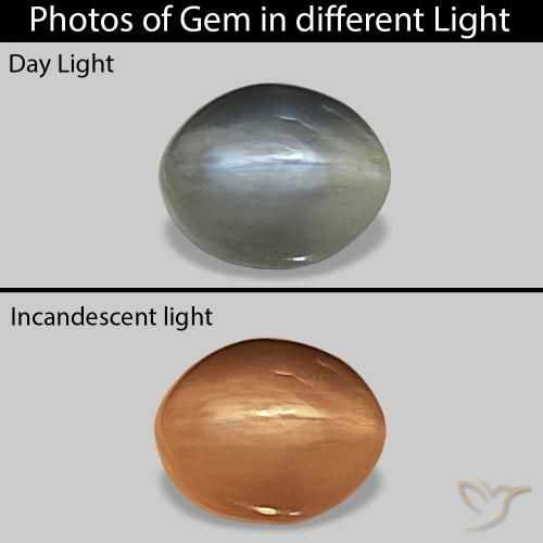 9,17 ctw natürlicher Mittelgrau Cat's Eye Alexandrite, Oval, Lichtundurchlässig
