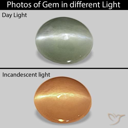 9,17 ctw natürlicher Mittelgrün Cat's Eye Alexandrite, Oval, Lichtundurchlässig