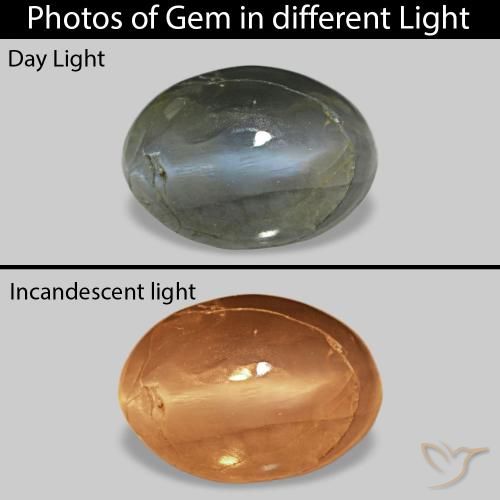 9,17 ctw natürlicher Blassgrünes Grau Cat's Eye Alexandrite, Oval, Lichtundurchlässig